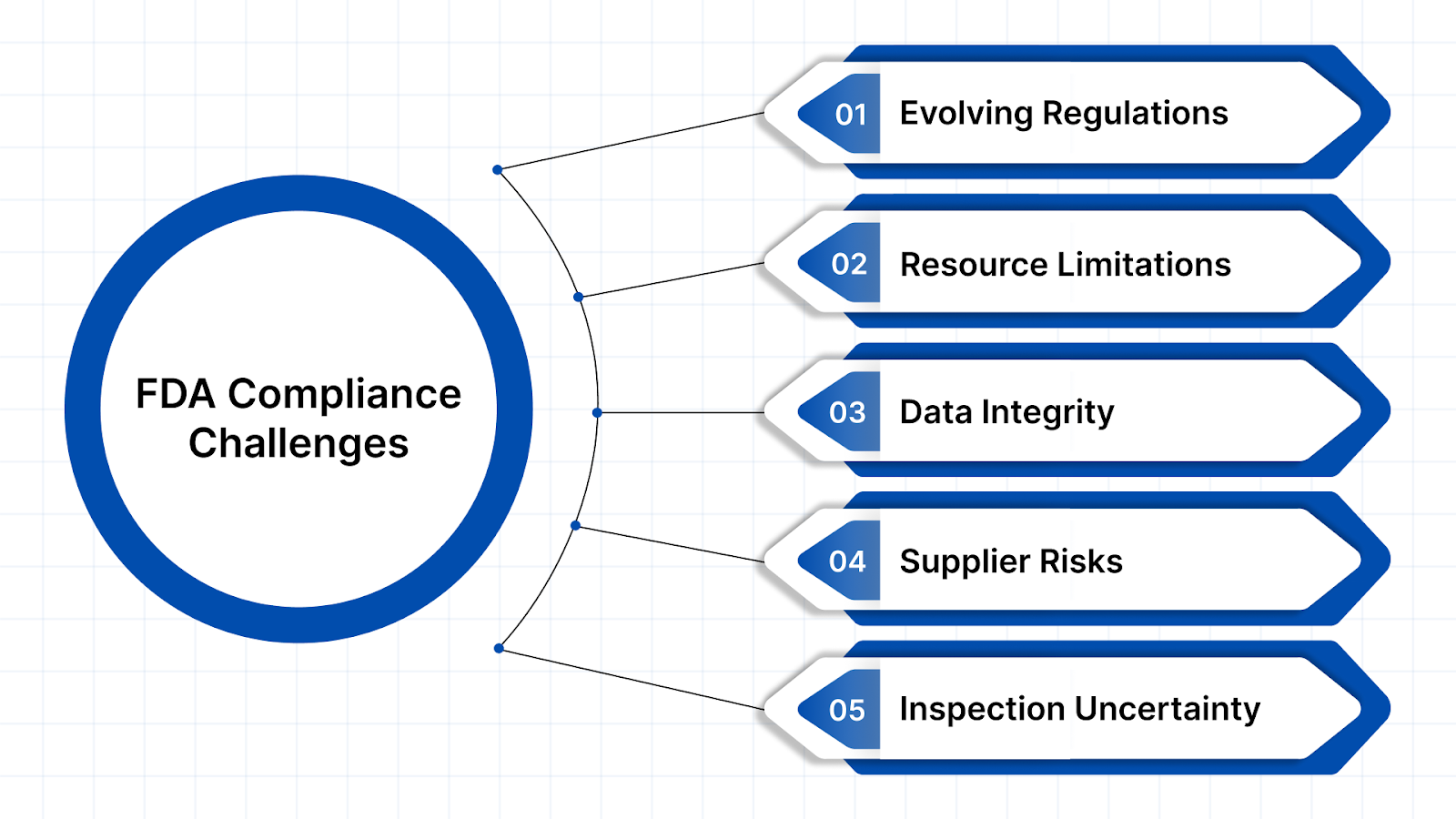 Common Challenges in Maintaining FDA Compliance