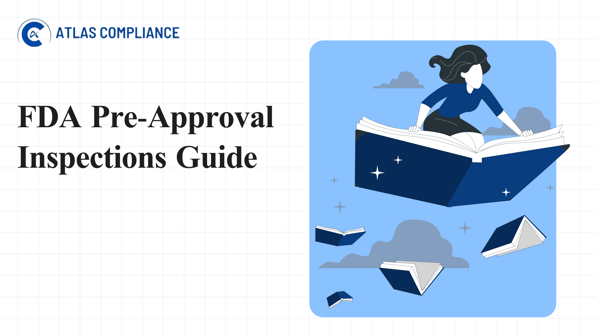 pre approval inspection fda